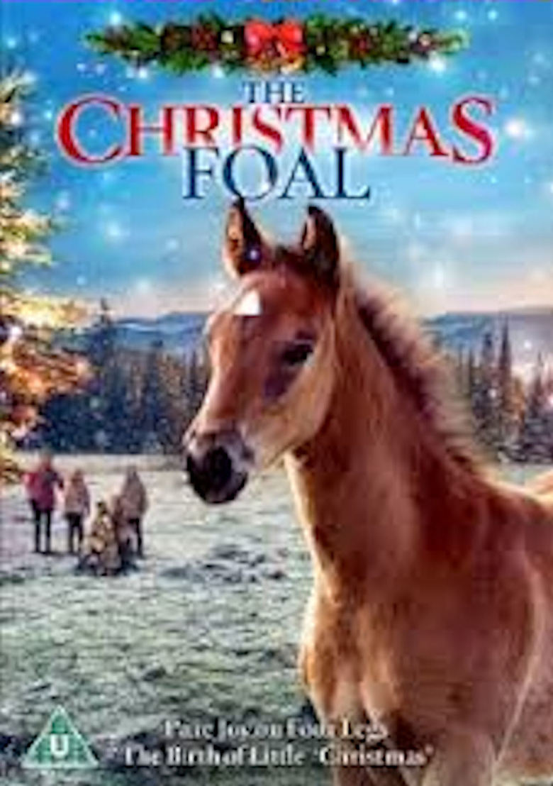 the christmas colt poster